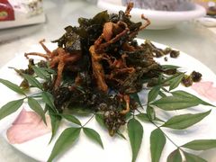 -润禾烤全羊