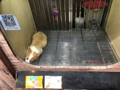 -宠物世家(仲盛世界商城店)
