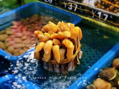 蛏子-清水湾3号(东方小周海鲜店)