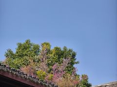 -安仁古镇