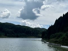 -武陵山森林公园