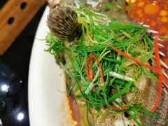 -新兴·金羊座·粤菜点心(乐峰店)