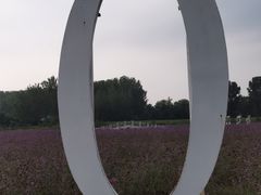 -北京东方普罗旺斯薰衣草庄园