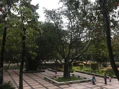 -晓港公园