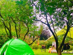 -铁山坪森林公园