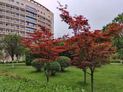 -四川大学(华西校区)