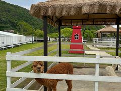 -宁波九龙湖开元度假村