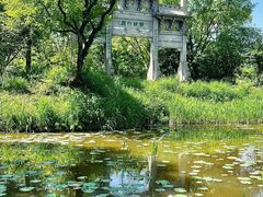 -西溪国家湿地公园