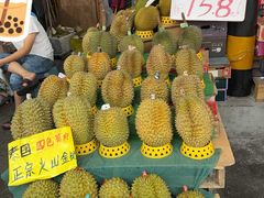 -双福水果批发市场