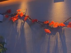 -澜·庭汇SPA会所(涉外店)