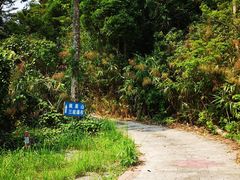 -海南热带雨林国家公园吊罗山景区