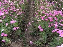 -漩门湾国家湿地公园