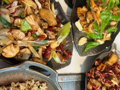 -蘑统田下·野生菌火锅