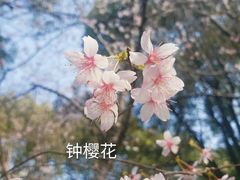 -白塘生态植物园