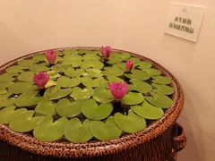 -第六季自助餐厅(北太平庄店)