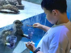 -华夏文旅海洋公园