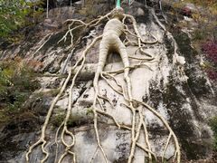 -丹东天桥沟景区