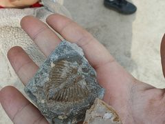 -房山世界地质公园博物馆