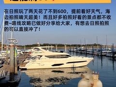 -日照海滨国家森林公园