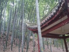 -杭州黄龙洞
