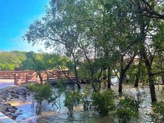 -宝安西湾红树林湿地公园