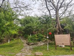 -广州神农草堂中医药博物馆