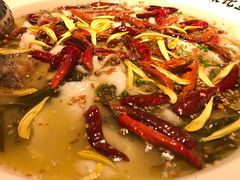 -太二酸菜鱼(广州IFC国金天地店)