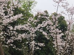 -白鹭湾湿地公园