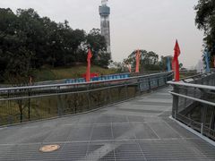 -广州雕塑公园