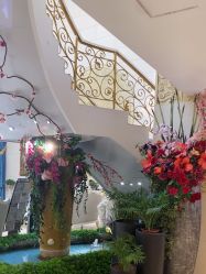 -伽美医疗美容医院·高端抗衰中心