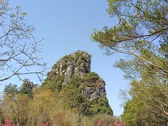 -南宁花花大世界景区