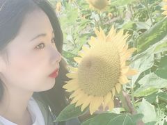 -瑶湖郊野森林公园