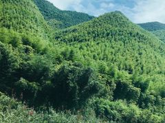 -莫干山风景区