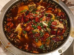 水煮肉片-真定郝家排骨(正定县总店)