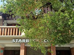 -星巴克臻选(思南公馆店)