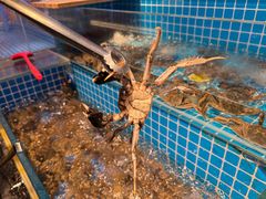 -焰江山海鲜牛排烤肉自助(锦华万达二星店)