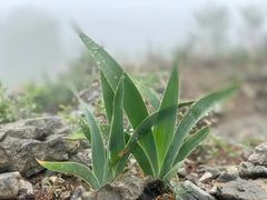 -妙峰山风景名胜区