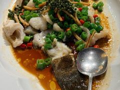 鲜花椒蒸桂花鲈-猪肉婆私房菜(容桂总店)