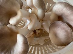 -永辉超市(龙潭寺店)