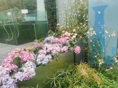 -深圳仙湖植物园