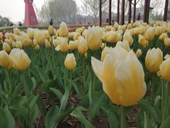 -廊坊文化艺术中心