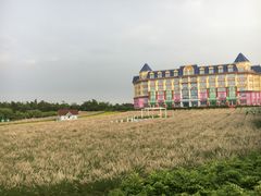 -广州花之恋城堡酒店