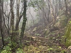 -普陀山风景区-佛顶山