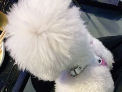 -火枪手串吧·鹤岗小串涮肚(亦庄店)