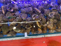 -晶渔坊·海鲜私房菜(东夷小镇店)