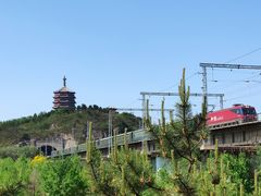 -永定河休闲森林公园