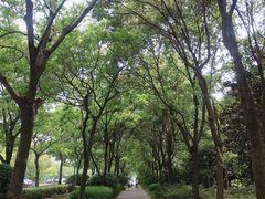 -新江湾城公园