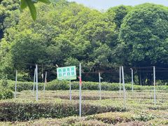 -中国茶叶博物馆(双峰馆区)