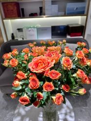 -MIDA蜜哒•科技逆龄美肤连锁