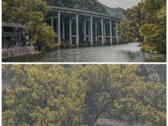 -上坦村